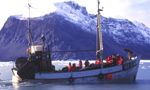 Incentive Reise Grönland: Die Perle der Arktis.