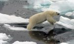 Schiffsfahrt zwischen Eisberge in der Heimat der Eisbären