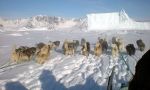  Ostgrönland: Hundeschlittenfahrt in Ittoqqortoormiit