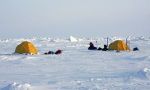 Expedition auf Skiern zum Geografischen Nordpol.