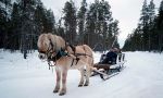 LAPPLAND - DAS LAND DER SAMEN